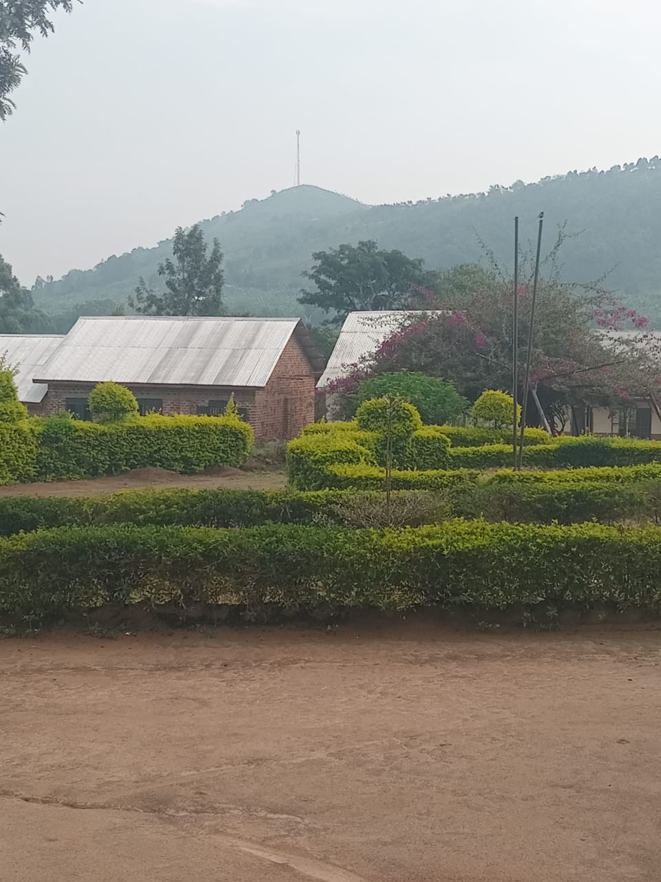 Engari Secondary School campus and gardens